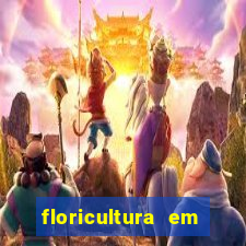 floricultura em lauro de freitas